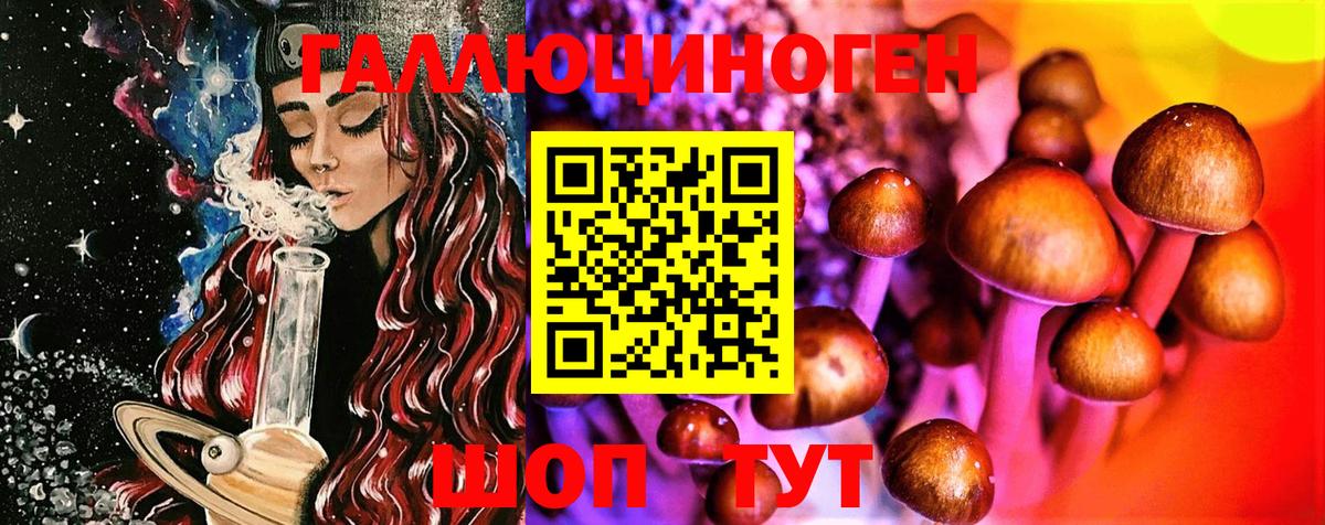 Костомукша  как найти закладки  Вход с VPN  Галлюциногенные грибы мицелий 