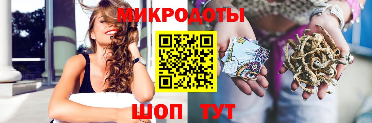 Галлюциногенные грибы Psilocybine cubensis Костомукша